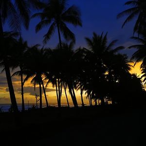 Hotel La Isla